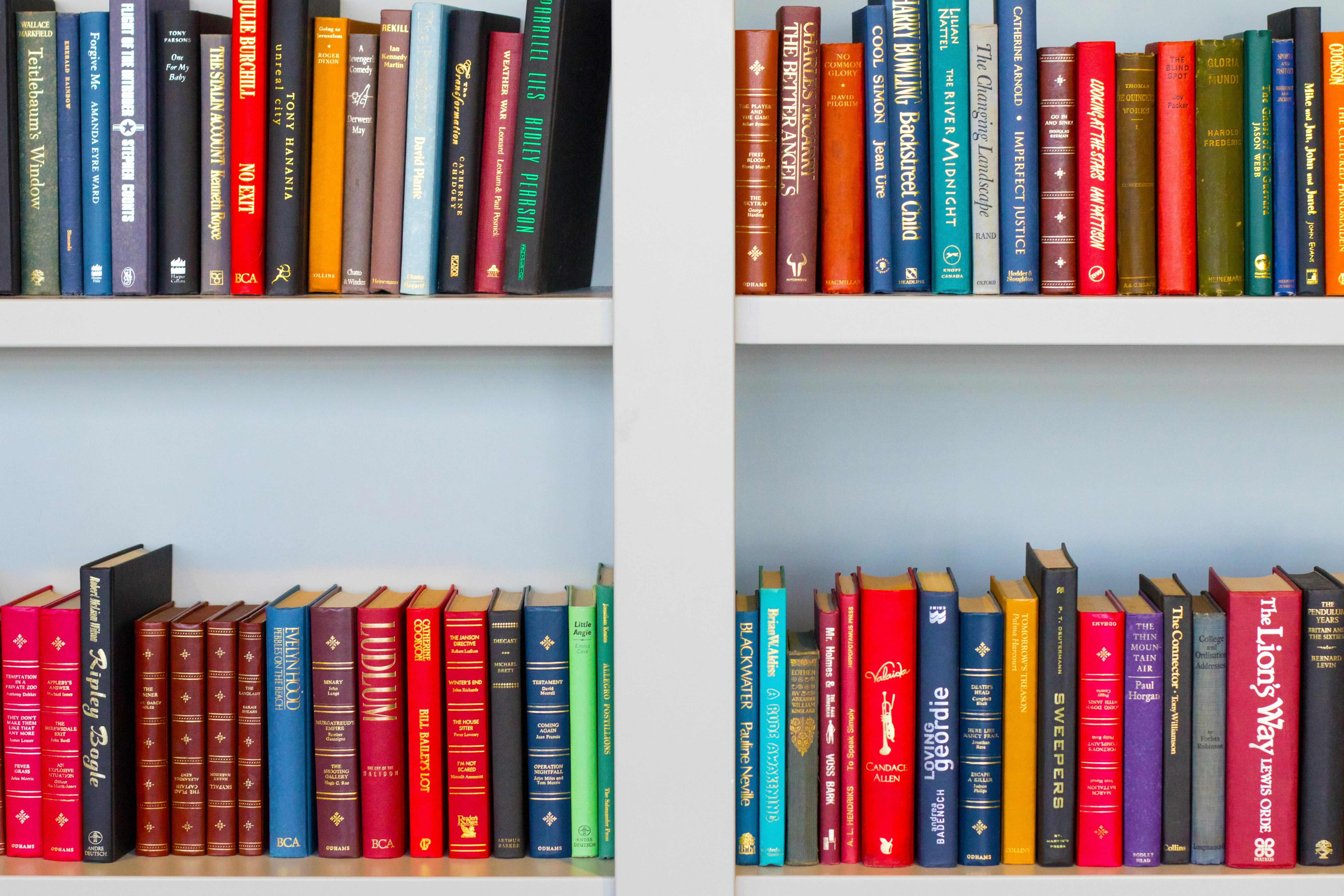 The Workplace Basics educational platform